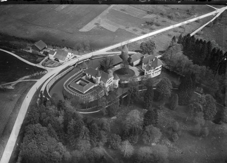 ETH-BIB-Hallwil, Schloss Hallwil v. S. W. aus 150 m-Inlandflüge-LBS MH01-006000