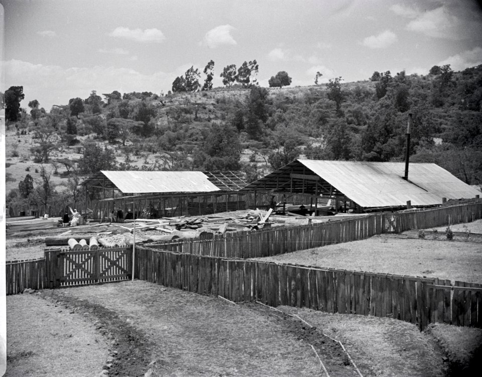 ETH-BIB-Hausbau-Abessinienflug 1934-LBS MH02-22-0555