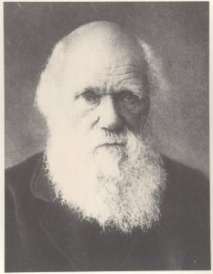 ETH-BIB-Heim, Albert (1849-1937)-Portr 08396