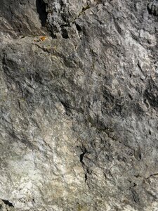Texture structure rock photo