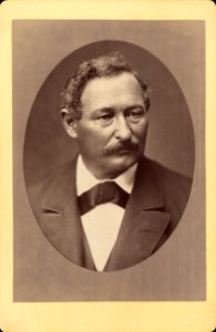 ETH-BIB-Hertenstein, Wilhelm (1825-1888)-Portr 16191-005-AL-FL