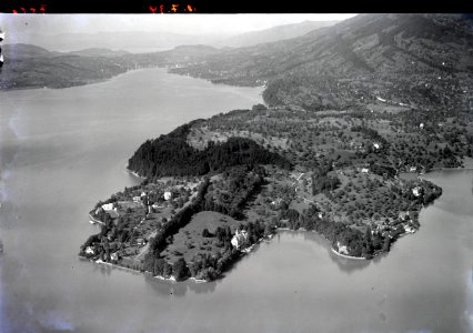 ETH-BIB-Hertenstein, Greppen, Küssnacht v. S. aus 300 m-Inlandflüge-LBS MH01-007776
