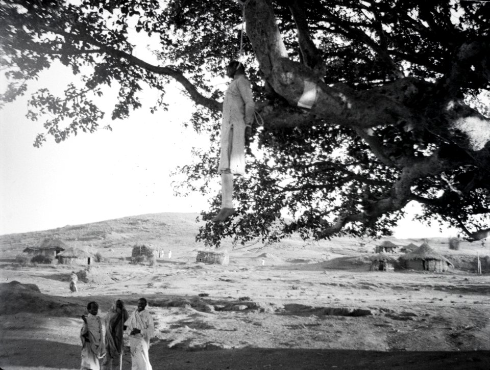 ETH-BIB-Hingerichteter Schwerverbrecher, zur Abschreckung in Baum aufgehängt-Abessinienflug 1934-LBS MH02-22-0587