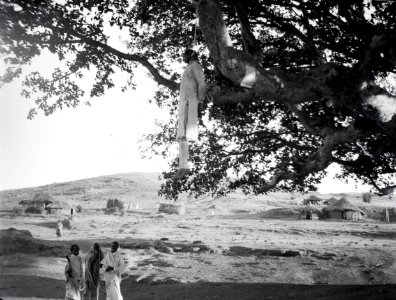 ETH-BIB-Hingerichteter Schwerverbrecher, zur Abschreckung in Baum aufgehängt-Abessinienflug 1934-LBS MH02-22-0587