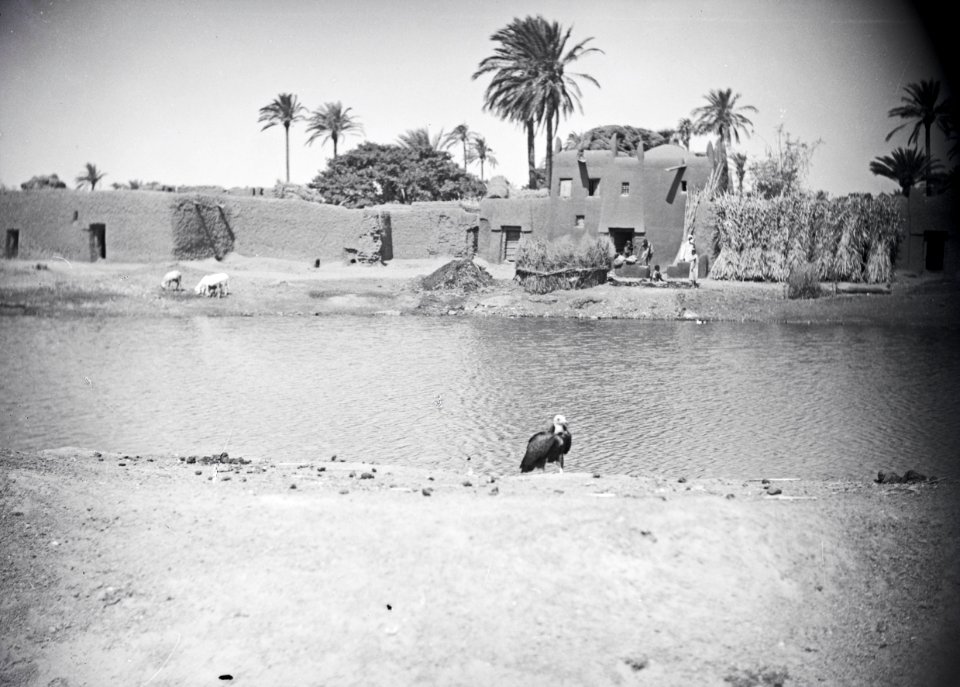 ETH-BIB-Hinter dem grünen Teich dehnt sich die Hofburg des Königs von Kano aus-Tschadseeflug 1930-31-LBS MH02-08-0602