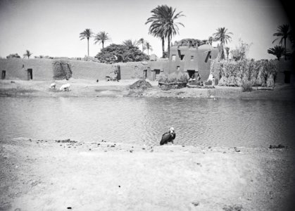 ETH-BIB-Hinter dem grünen Teich dehnt sich die Hofburg des Königs von Kano aus-Tschadseeflug 1930-31-LBS MH02-08-0602