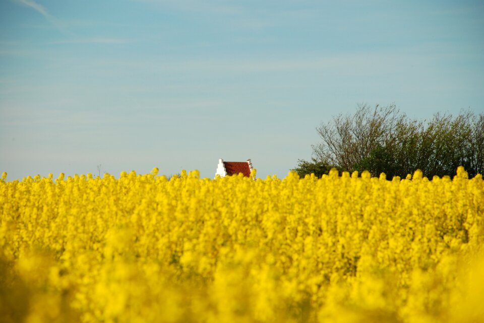 Landscape farm countryside