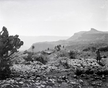 ETH-BIB-Hochplateau der Shewa-Abessinienflug 1934-LBS MH02-22-0263