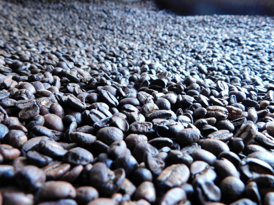 Caffeine brown harvest