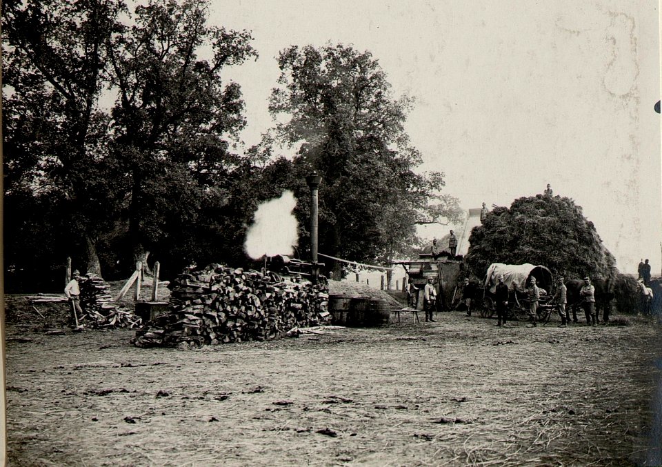 Getreidedrusch durch Stabstruppen des 9.Korpskmdos. in Wolhynien -, Ostrozec 14.X.1915.,- (BildID 15540496)
