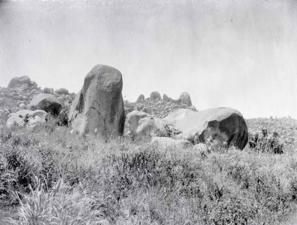 ETH-BIB-Hügel in der Serengeti-Kilimanjaroflug 1929-30-LBS MH02-07-0066