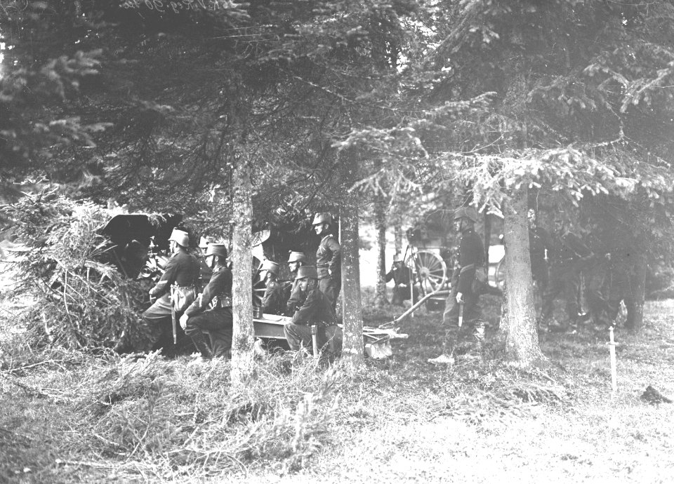 Getarnte Haubitze am Waldrand in Stellung - CH-BAR - 3240018