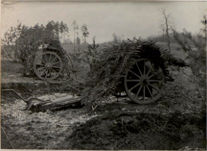 Getarntes 10 cm Geschütz des Feldhaubitzenregiments Nummer 25, dritte Batterie (BildID 15442860)
