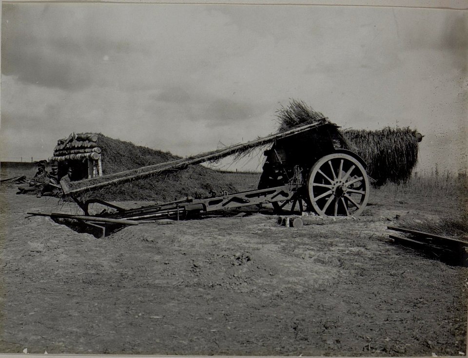 Getarntes 10.4cm Fernkampfgeschütz (BildID 15456549)