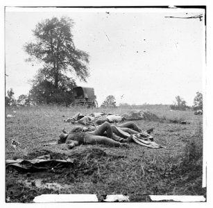 Gettysburg, Pennsylvania. (Confederate dead gathered for burial, July 5, 1863) LOC cwpb.00908