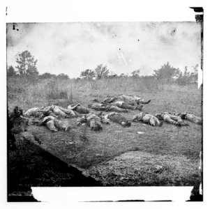 Gettysburg, Pennsylvania. (Confederate dead, view looking toward the orchard on the Rose farm, July 5, 1863) LOC cwpb.00889