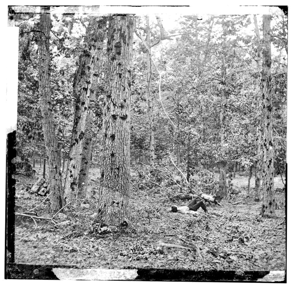 Gettysburg, Pennsylvania. Battered trees on Culp's Hill LOC cwpb.01645