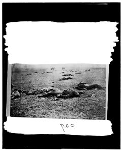 Gettysburg, Pennsylvania. Bodies of dead on right of Federal line LOC cwpb.00858