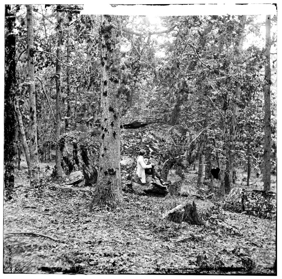 Gettysburg, Pennsylvania. Battered trees on Culp's Hill LOC cwpb.01635