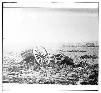 Gettysburg, Pennsylvania. Unfit for service. Artillery caisson and dead mule LOC cwpb.00829