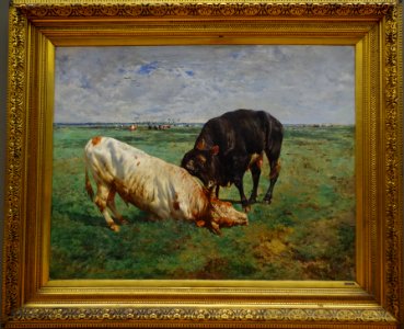 Gevecht tussen twee jonge stieren Alfred Verwee 1883