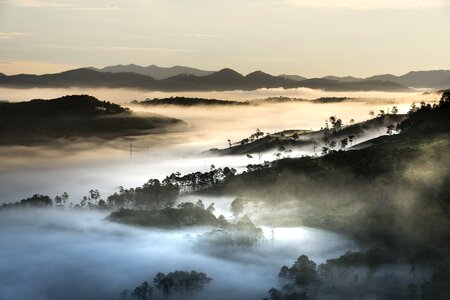 Vietnam planting hills