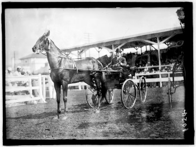 GHEEN, J.O. DRIVING 'BOSCOBEL' IN HORSE SHOW LCCN2016863626