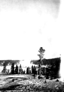 GiantessGeyserYNP1883Jackson