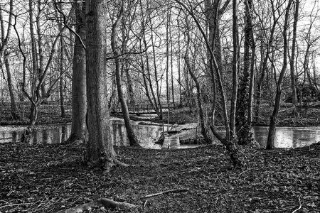 Bridge water moat photo