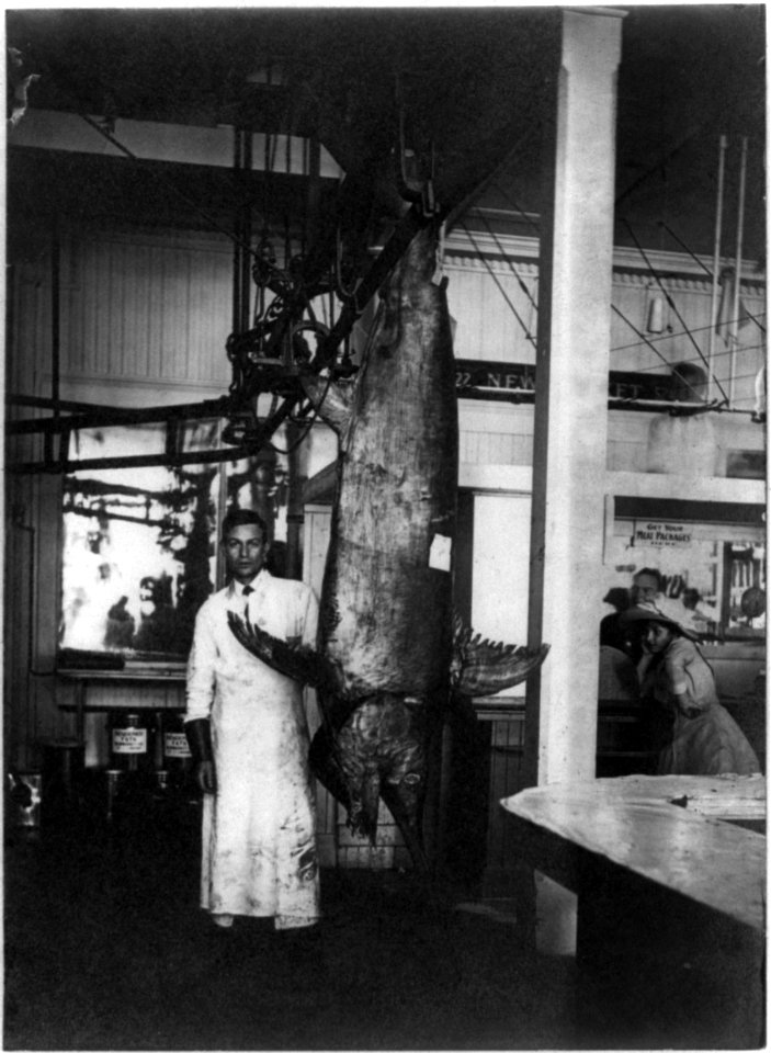 Giant swordfish caught at Los Angeles, ca. 1910 LCCN2002718099