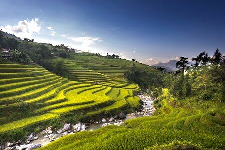 Ha giang terraces hoang su phi photo