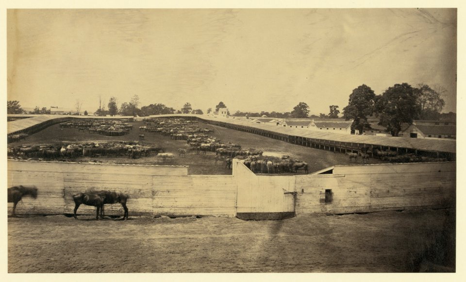 Giesboro, Md., 1864 LCCN2006681105