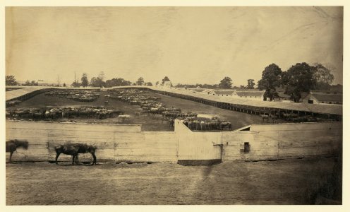 Giesboro, Md., 1864 LCCN2006681105