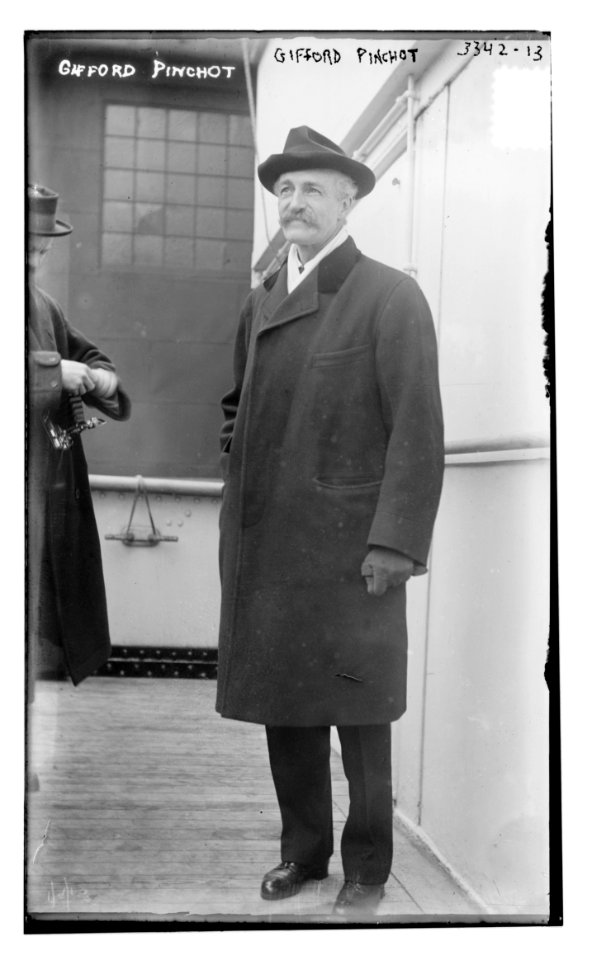 Gifford Pinchot LCCN2014698158