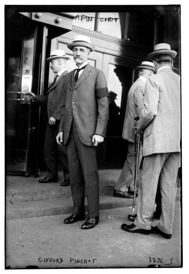 Gifford Pinchot LCCN2014701850