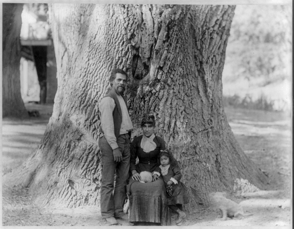 Gigantic oak tree on the Tejon Ranch, Kern county, Calif.; Indian man, woman and small girl in front of the tree LCCN2004668410