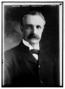 Gifford Pinchot, portrait bust, copyright by Harris & Ewing - Harris & Ewing LCCN2014680796