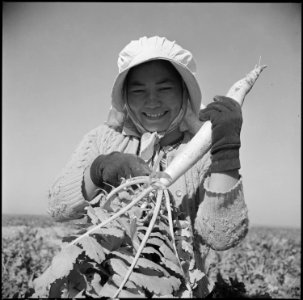 Gila River Relocation Center, Rivers, Arizona. Momoyo Yamamoto, formerly from Fresno, California, s . . . - NARA - 538620 photo