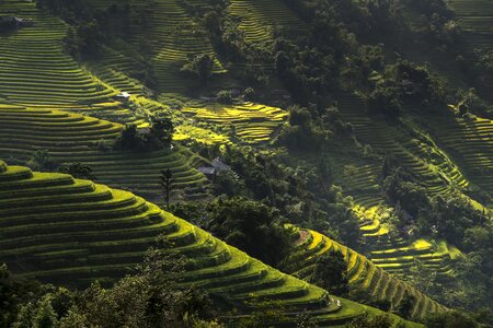 Ha giang terraces hoang su phi photo