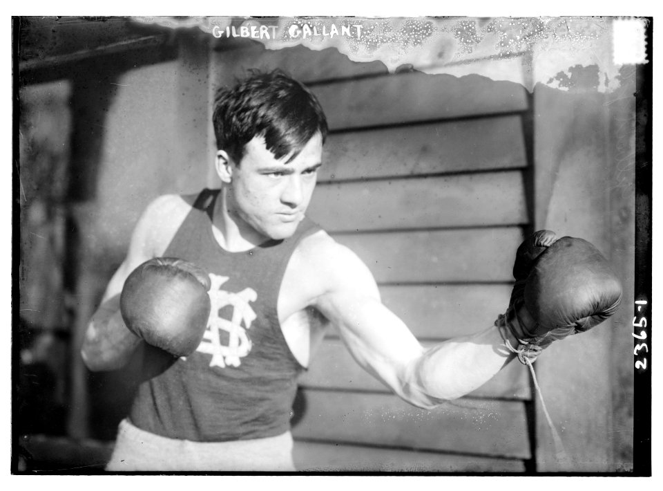 Gilbert Gallant LCCN2014690099