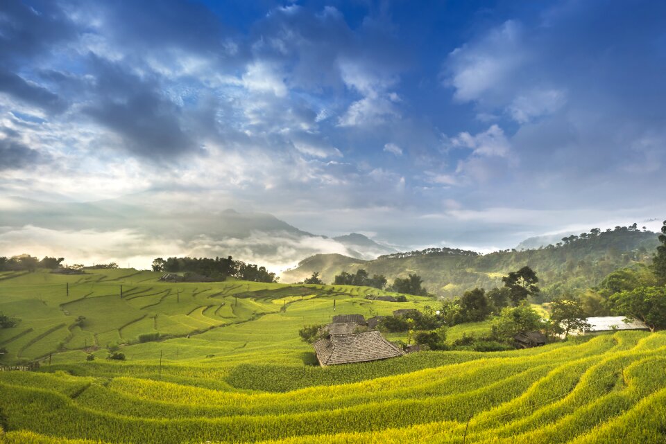 Ha giang terraces hoang su phi