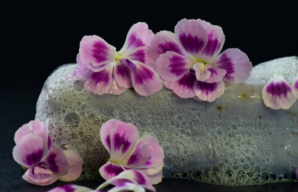 Fragrance flowers purple