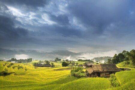 Ha giang terraces hoang su phi photo