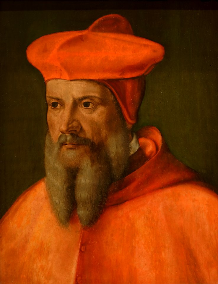Giovanni Capassini - Portrait du cardinal de Tournon