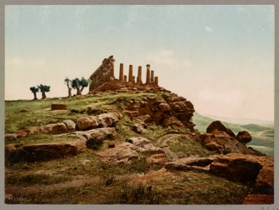 Girgenti. Tempio di Giunone Lacinia LOC ppmsca.52670