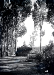ETH-BIB-Hütte im Hochland Abessiniens-Abessinienflug 1934-LBS MH02-22-0229