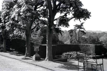 ETH-BIB-Im Garten des Landgutes Cherkley Court, Leatherhead-Weitere-LBS MH02-42-0019