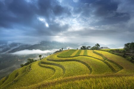 Ha giang terraces hoang su phi photo