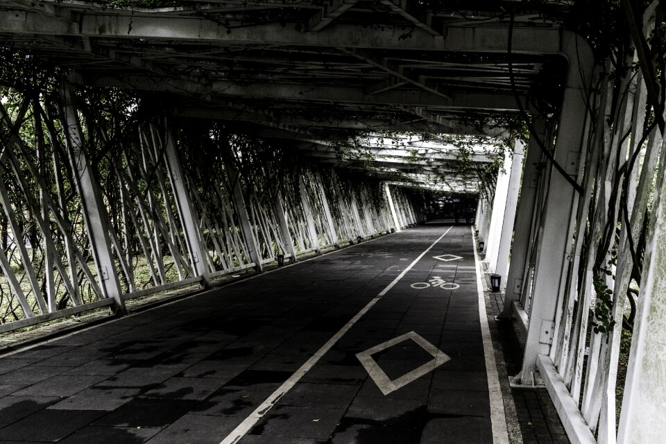 Travel train road