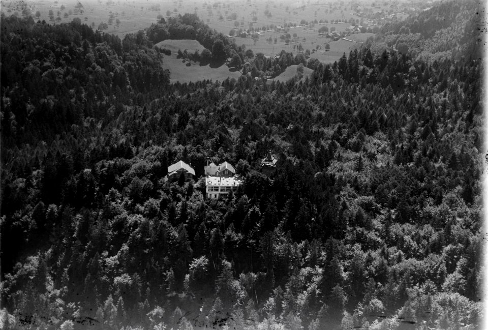 ETH-BIB-Interlaken, Hotel Heimwehfluh, von Nordwesten-Inlandflüge-LBS MH03-0454